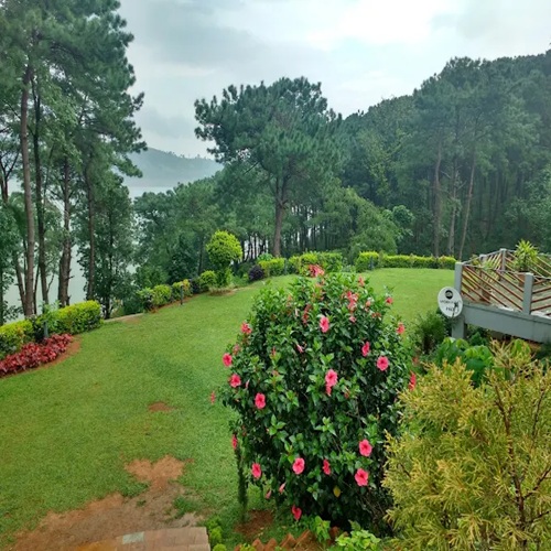 Orchid lake resort umiam reviews